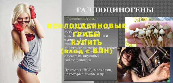СК Балахна