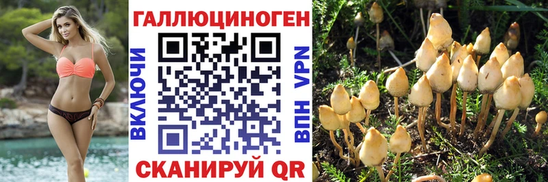 Псилоцибиновые грибы прущие грибы  Нижние Серги 
